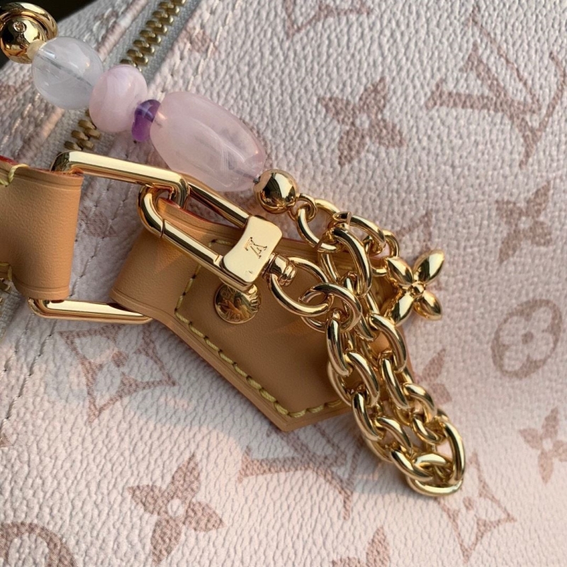 LV Speedy Bags
